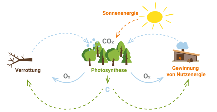 CO2 Kreislauf 