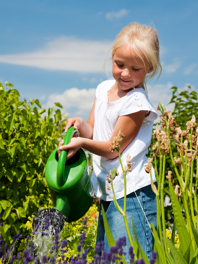 Gartenbewässerung 