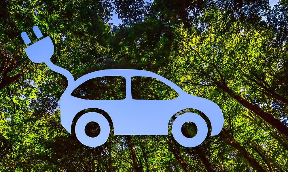 Skizze von Auto vor grünen Baumkronen