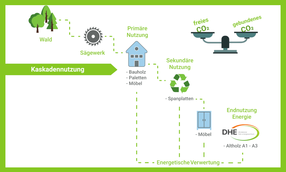 Eine Grafik, die zeigt, wie Holz in unterschiedlichen Verarbeitungsstufen genutzt werden kann