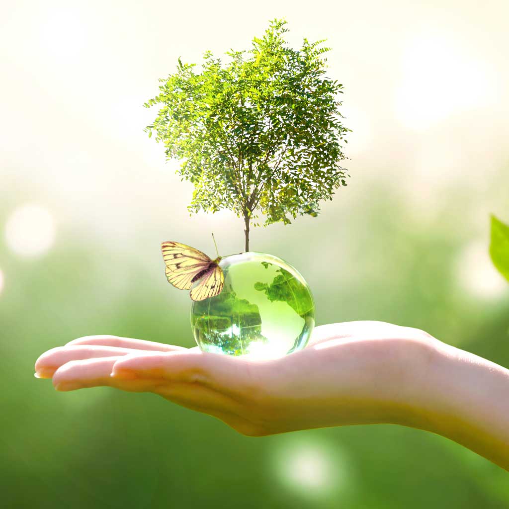 Hand hält eine gläserne Erdkugel. Daraus wächst ein Baum und ein Schmetterling hat auf der Glaskugel Platz