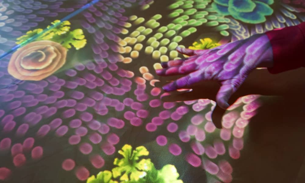 Eine Hand bewegt die bewegten Bilder einer Tovertafel